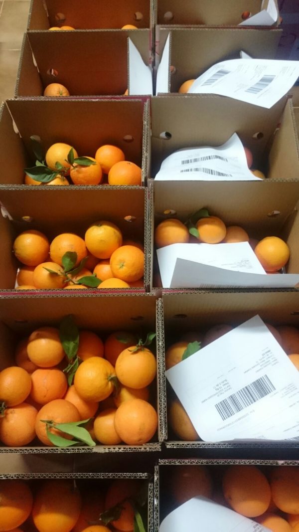 4 kilos de Naranjas