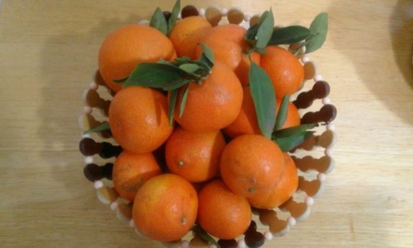 4 Kg Clementinas premium