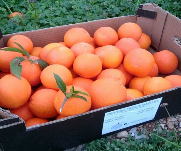 28 kg Oranges (30 kg Out of Spain)