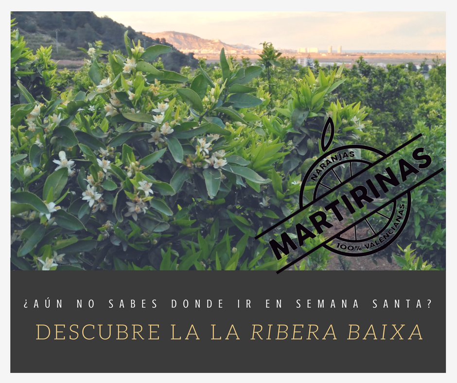 Naranjas Martirinas: Esencia Mediterránea en la Ribera Baixa
