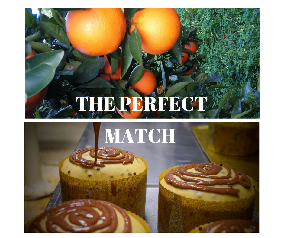 EL PERFECTO PANETTONE DE CHOCOLATE Y NARANJAS MARTIRINAS PARA ESTAS NAVIDADES